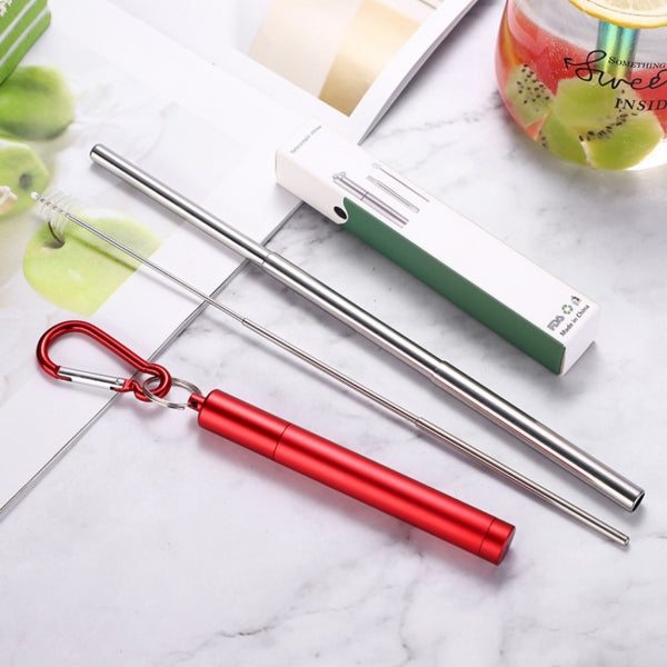 Custom Logo 304 Stainless Steel Telescopic Straw Set | Premium Corporate Gifts and Custom Gifts