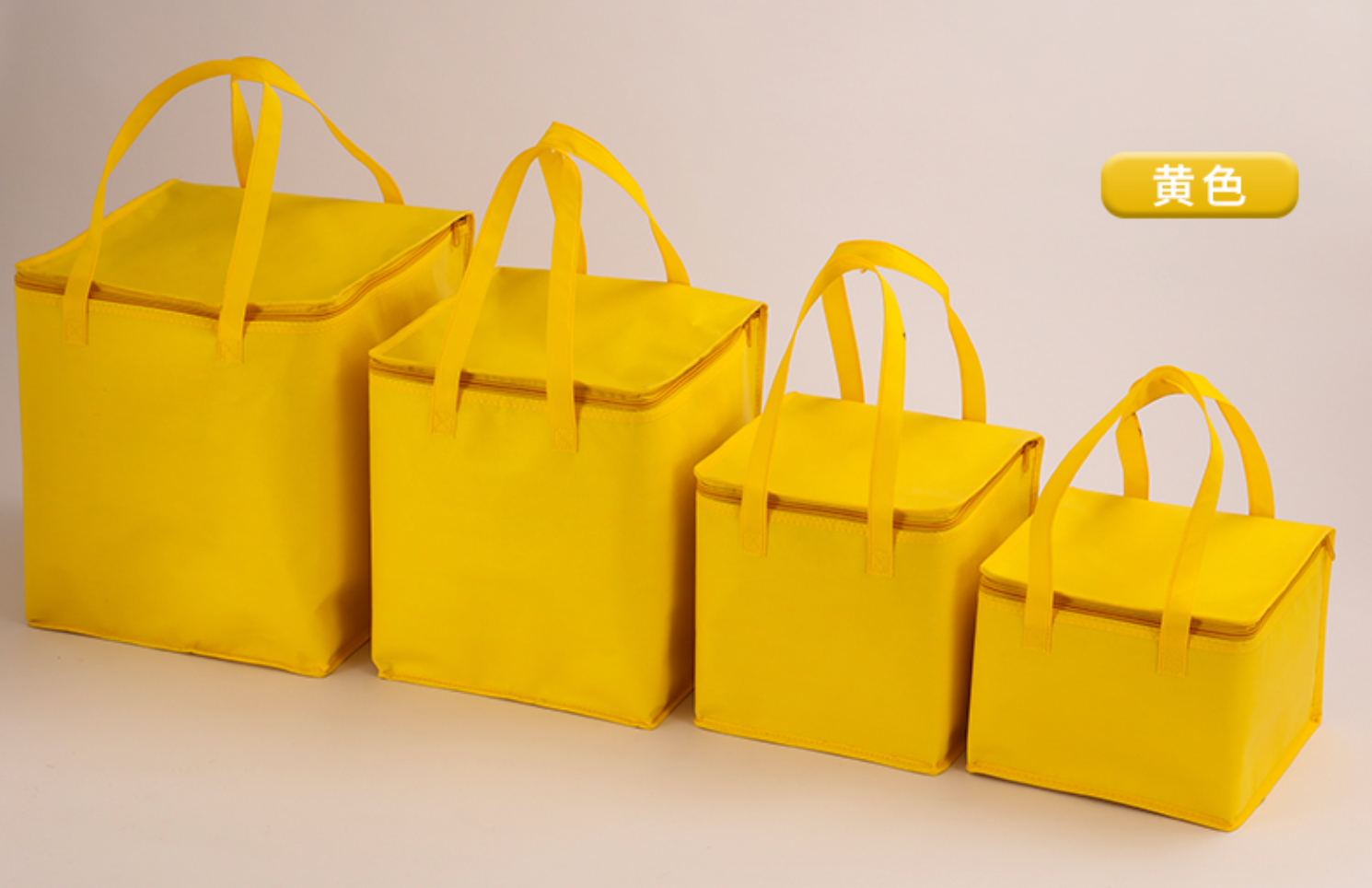 Custom Logo Cold and Thermal Insulation Non-Woven Shopping Bag | Premium Corporate Gifts and Custom Gifts